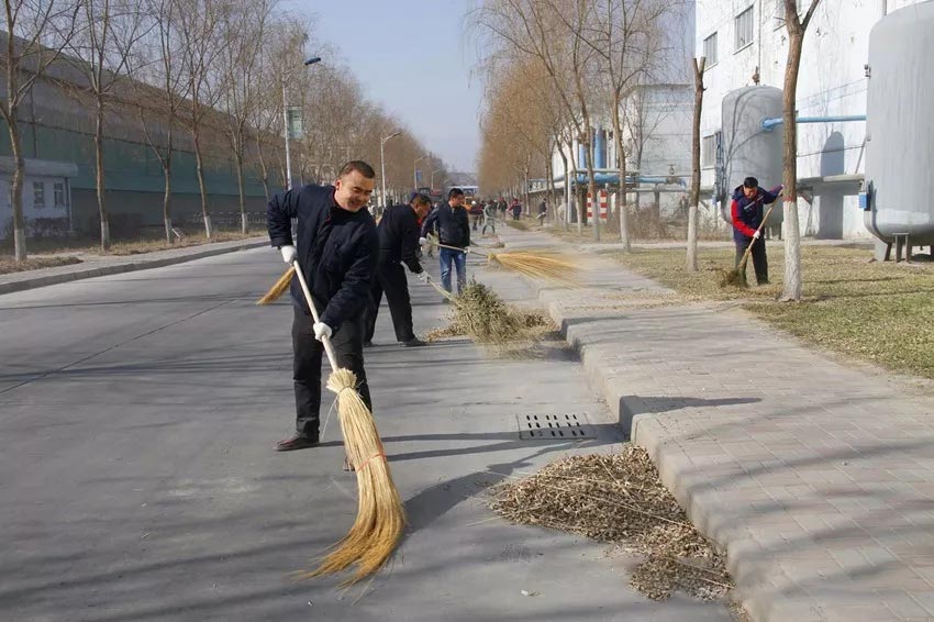 厂区卫生清洁