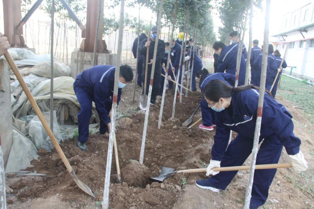 常州送料机厂植树活动