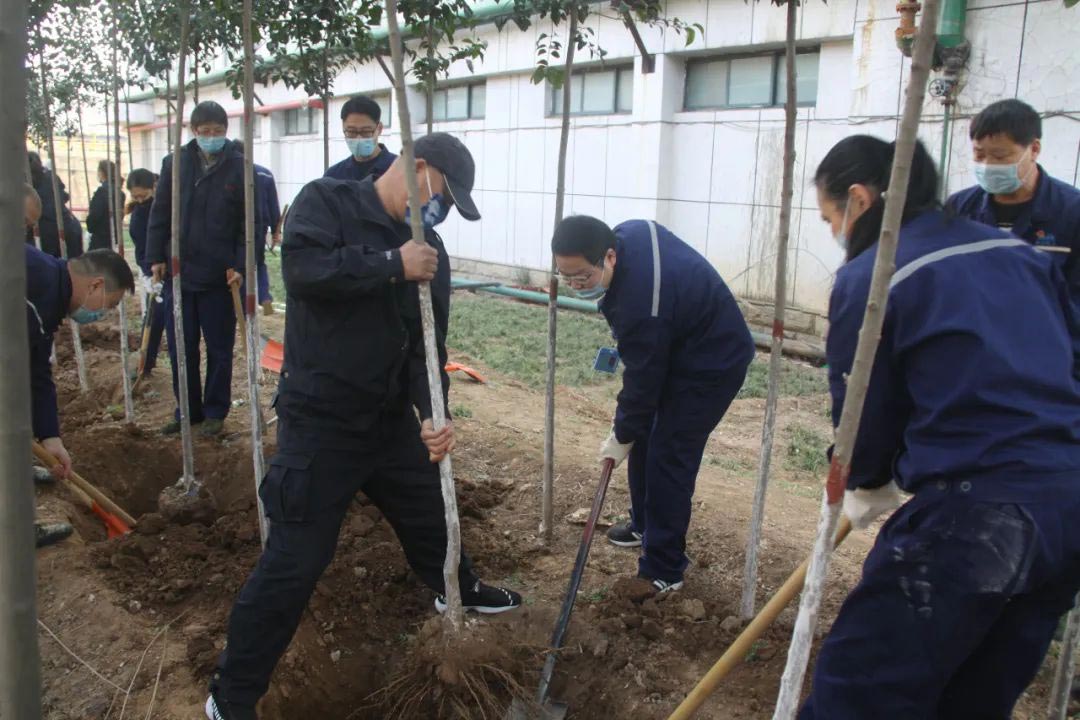 常州植树活动