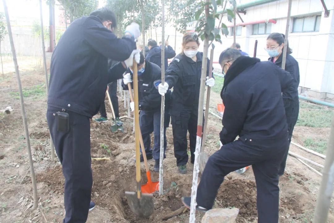 厂区植树活动