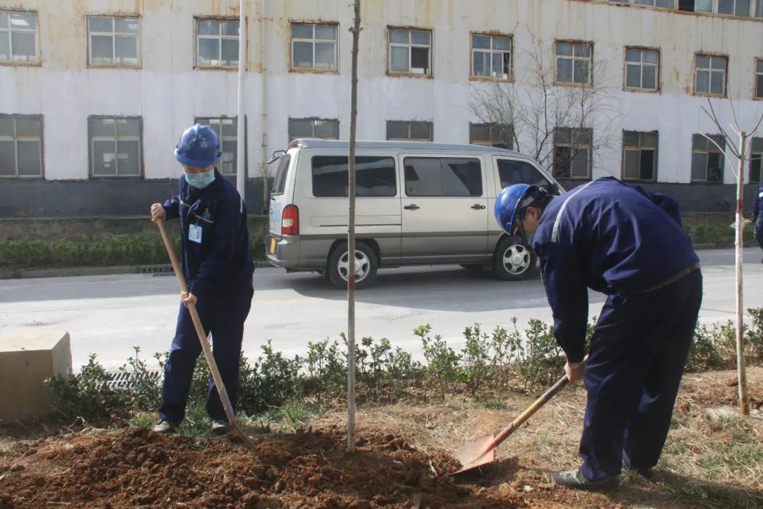 常州工厂植树活动